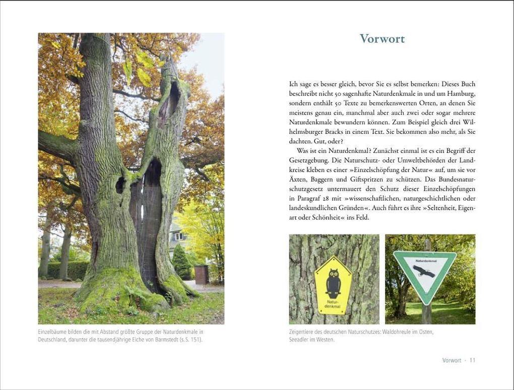 Thumbnail - 50 Sagenhafte Naturdenkmale Der Metropolregion Hamburg | Annette Huber