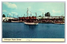 Tarpon Springs FL Sponge Fleet Docks Anclote River Chrome Postcard Posted 1967
