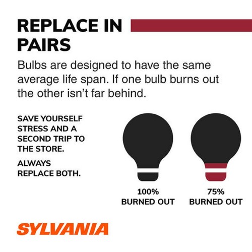 Sylvania Basic 3457 29/8.3W Ten Bulbs Brake Stop Tail Parking Replace Fit USA - Picture 8 of 8