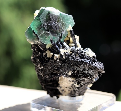 Fluorite, Schorl and Muscovite. Erongo Mts., Namibia. Many penetrating crystals - Picture 4 of 9