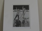 Black and White Photography Print (IKEA)Norman Parkinson Collection, Retro Style