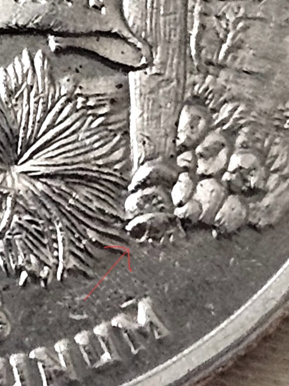2008-P Arizona State Quarter - Extra Cactus Leaf Error