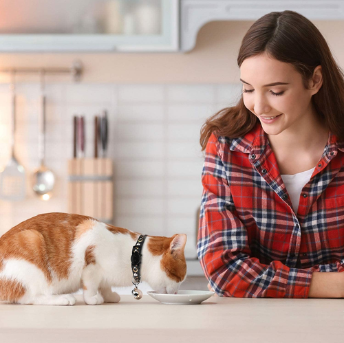 2PCS Breakaway Cat Collars with Bell Moons Stars Cute Kitty Adjustable Safe Kitt - 第 2/12 張圖片