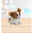 Vintage Ty Beanie Baby 'Barks' the Papillon Dog