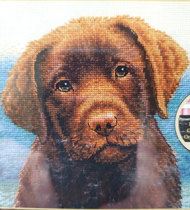 Hot Chocolate Lab Cross Stitch Kit Dimensions Gold Collection Petites 6x6