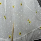Foto 17 di 24