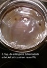 Bild 8 von 12