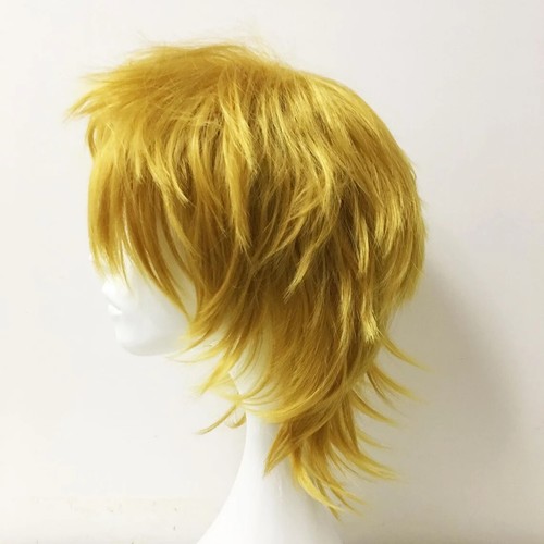 Sunny 70s Beach Gold Shag Wig costume cosplay stage actor actress anime unisex - Picture 6 of 16
