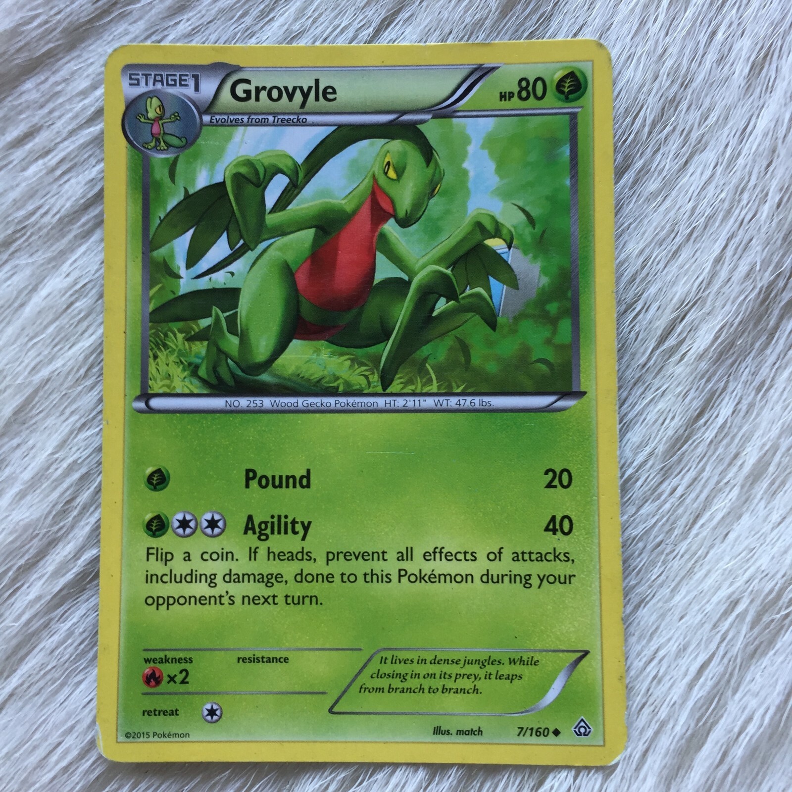 Pokemon Card GROVYLE 7 160 Card XY Primal Clash 2015 Pokemon TCG EX