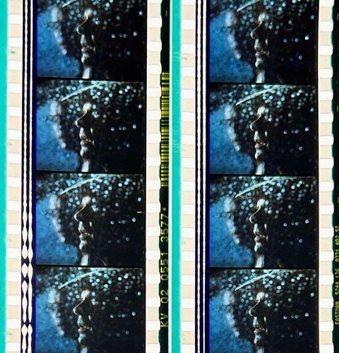 Jurassic Park 1993 Very Rare Unmounted 35mm Film Cells - Steven Spielberg - Picture 110 of 142