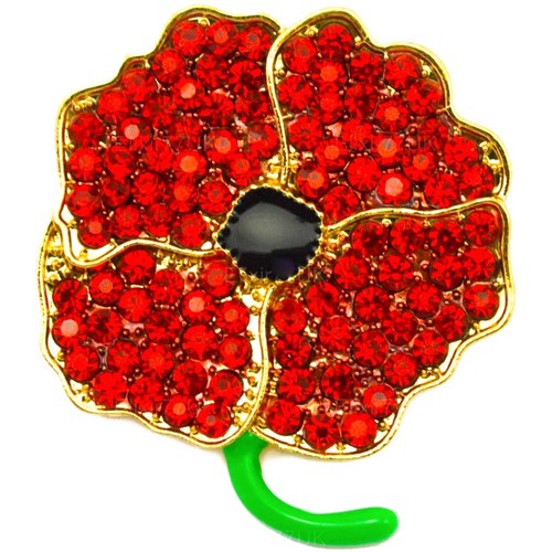 Red Brooches for Ladies Women Glass CZ Crystals Enamel Flower Pins Brooch Badges - Picture 32 of 63