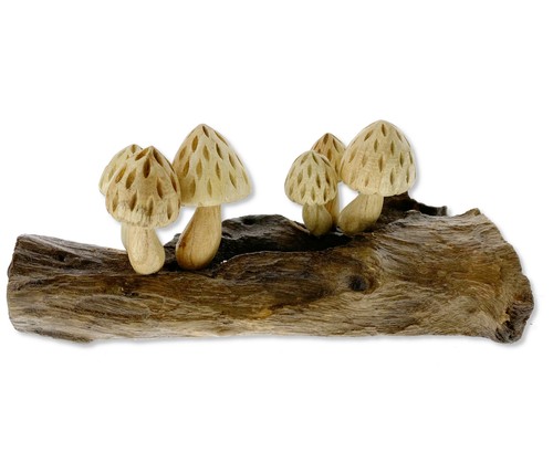 Wood Mushrooms - Hand Carved Jempinis Drift Wood Forest Morels Sculpture - Bild 1 von 7