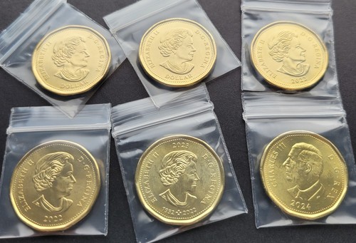 ***CANADA LOT OF 6 COMMEMORATIVE COLORED LOONIES 2020 - 2024 *** - Picture 2 of 2