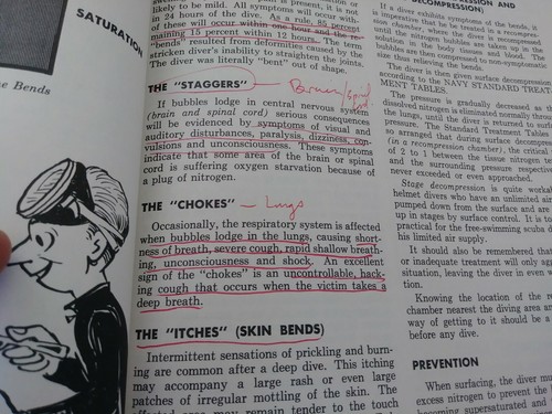Joe Strykowski Diving for Fun Complete Textbook for Students Instructors 1974 - Picture 6 of 12