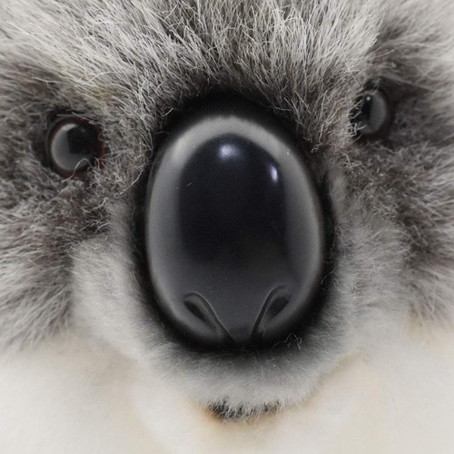 BH3637 HANSA Koala 26 - Picture 7 of 9