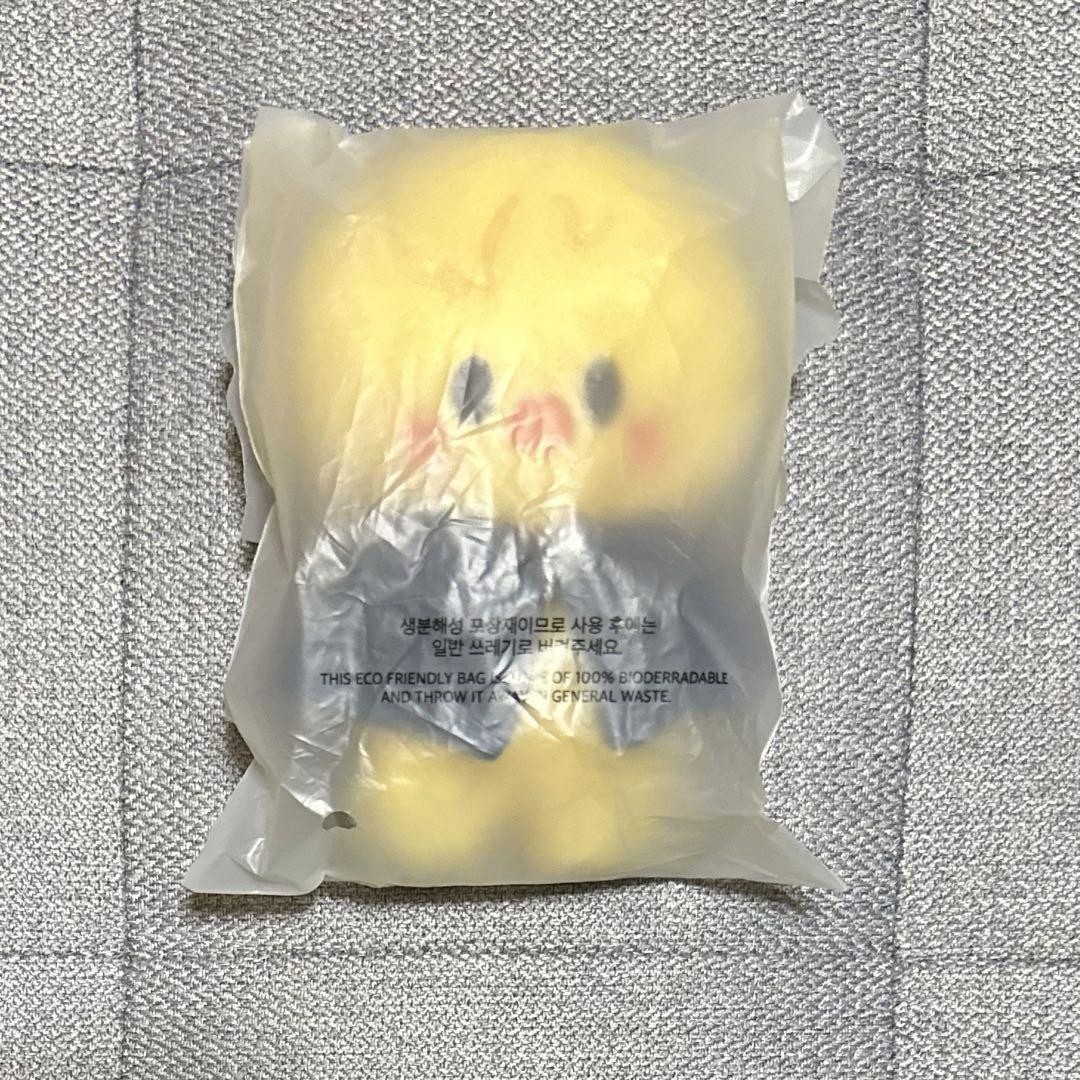 Stray Kids - 未開封 SKZOO PLUSH 10cm ぬいぐるみ BbokAri