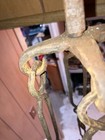 Picture 10 of 20