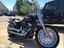 2019 harley-davidson softail