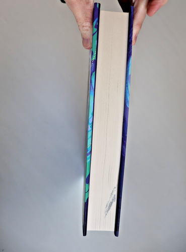 A MONSOON RISING UK Hardcover THEA GUANZON 1st Edition, Very Good Condition - Picture 7 of 9