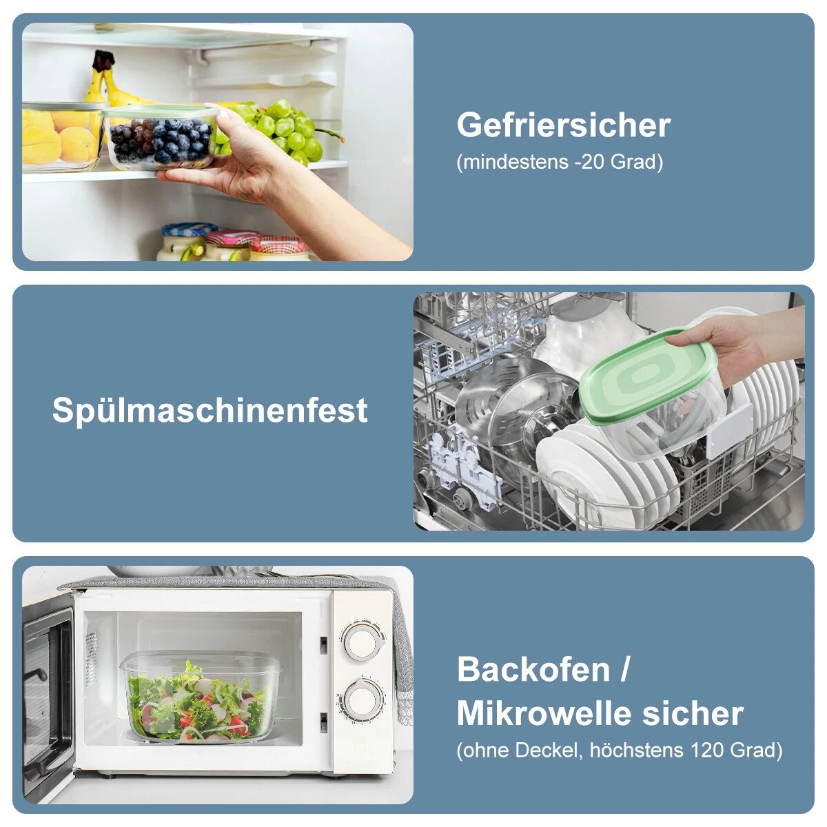 Bild 5 von 9