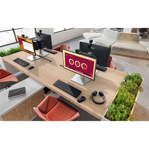 Dell Pro Micro QCM1255 Desktop Computer - AMD Ryzen 7 PRO 8700GE - 16 GB - 512 G - 第 10/14 張圖片