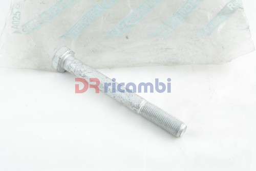 Vis De Bras Oscillant De Suspension Arrière Fiat Nouvelle Panda - FIAT 15543034 - Picture 1 of 4