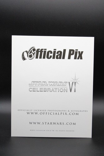 Ewok on Glider - Official Pix Star Wars Celebration VI - 2012 - OPX - Bild 3 von 3