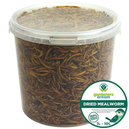 GardenersDream Dried Mealworms - Nutritious Wild Garden Bird Food Treats Birds - Picture 19 of 30