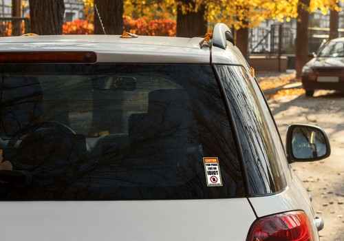 You Park Like An Idiot 10pk Parking Sticker Rude Funny 3M Vinyl Decal100mmx50mm - Picture 4 of 5
