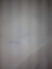 Picture 3 of 3
