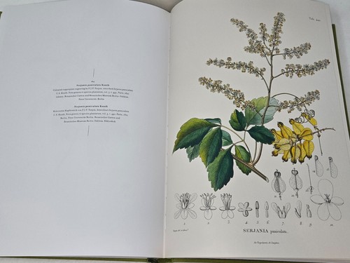 ALEXANDER VON HUMBOLDT & BOTANISCHE ERFORSCHUNG AMERIKAS VON H.W. LACK BOOK - Bild 11 von 12