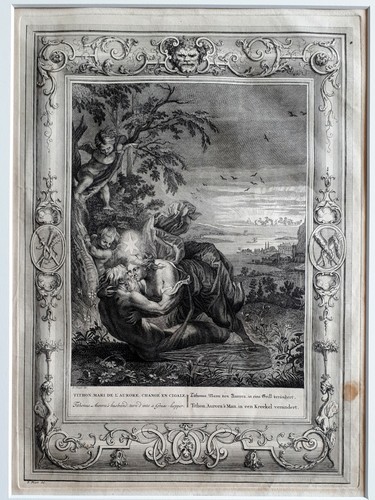Bernard PICART (1673-1733) Grosser Kupferstich Anno 1731 : Tithon als Grille - Bild 2 von 12