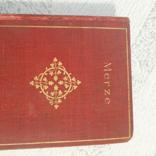MERZE by Marah Ellis Ryan, 1888 hardcover Attic Find was Stored Well - Picture 2 of 12