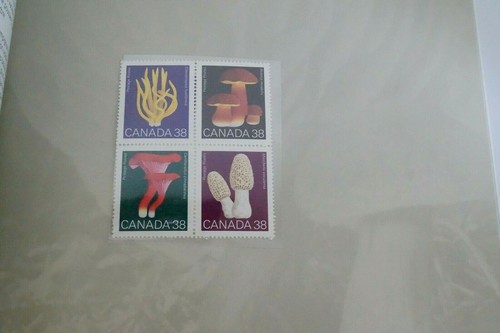 Souvenirsammlung 1989 der Briefmarken Kanadas - Bild 11 von 11