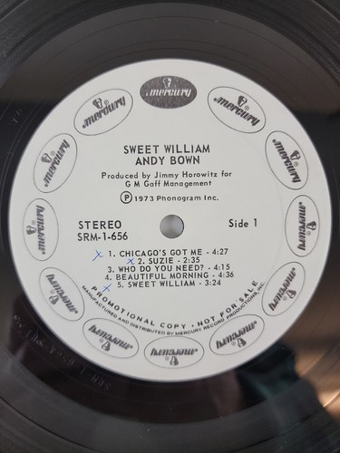 Andy Bown Sweet William PROMO LP Orig 1973 Press SRM-1-656 VG+ ULTRASONIC CLEAN - Picture 4 of 12