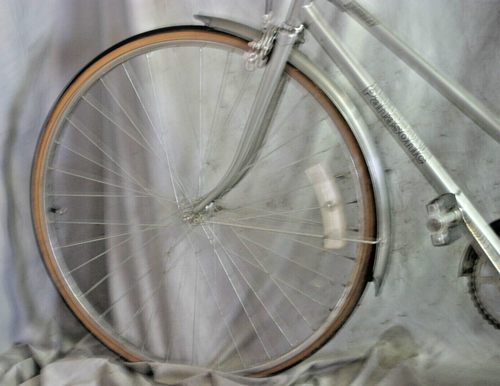 1970 Panasonic Tourist Cruiser Bike 17.5" Medium Shimano 3CG Steel USA Shipper:) - Picture 9 of 13