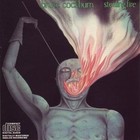 Stealing Fire by Bruce Cockburn (Vinyl, Nov-2010, True North Records)