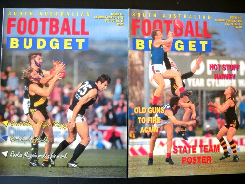 **ASSORTED AUSTRALIAN AFL FOOTY MAGAZINES 1982-2002 ALL IN VERY GOOD CONDITION** - Picture 3 of 8