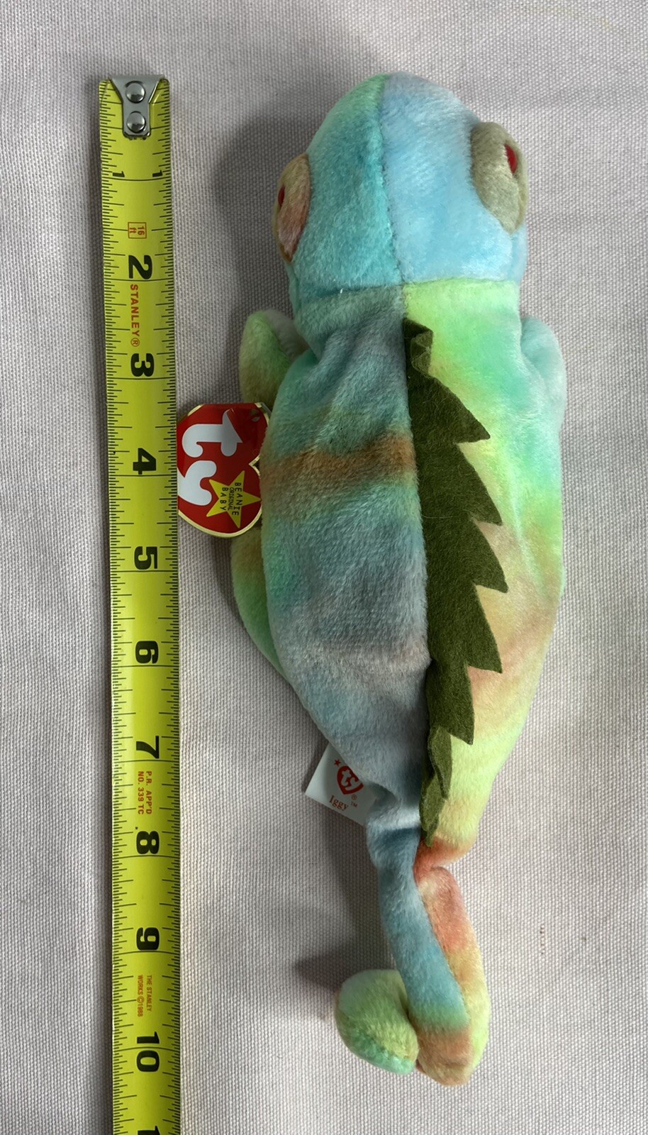 Picture 6 of 6