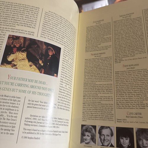 Stephen Sondheim "INTO THE WOODS" Julia McKenzie 1990 London Souvenir Program - Picture 3 of 4