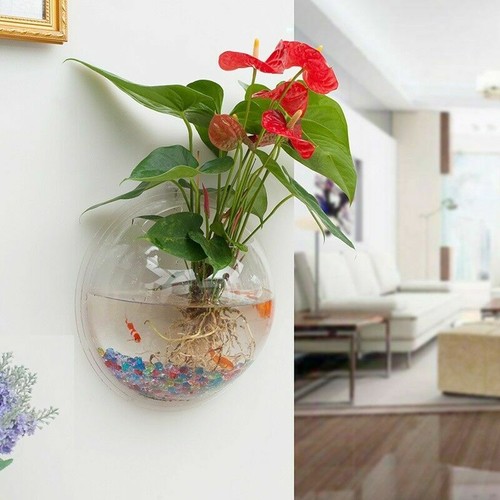 Acrylic Wall Mounted Hanging Fish Bowl Aquarium Tank Goldfish Hanger Plants Arts - Picture 2 of 12