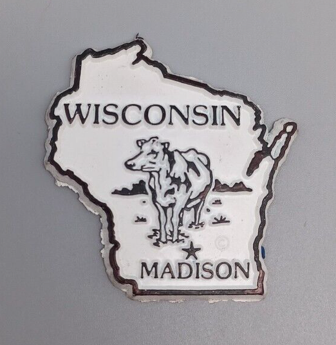 Wisconsin State Magnet Madison Vintage Collectable Souvenir - Picture 1 of 4