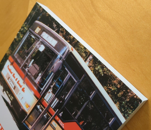 Gone but not forgotten: lost liveries of Sydney's route buses ~ PB (2015) - Picture 6 of 12