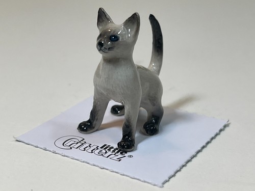 Little Critterz - Siamesisches Kätzchen "Blaze" LC906 - Mini Porzellan Tier in Box - Bild 3 von 7