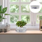  10 Pcs Blumenkübel Kunststoff Wasserpflanzen Pflanzgefäß Kleiner Blumentopf
