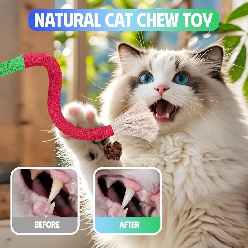 Cat Toys Chew Ropes 9Pcs with Refillable Natural Catnip, Safe Teeth Cleaning-USA - Image 3 of 4