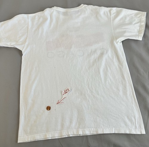 Vintage Chicago Trolley & Double Decker T-Shirt Adult Large White Graphic Tee - Picture 6 of 11