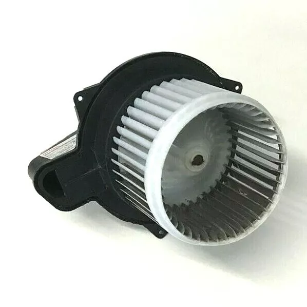 Fiat on sale 500 fan