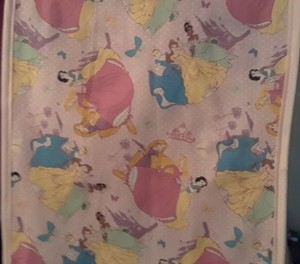 Disney Princess Dresser Scarf Ebay