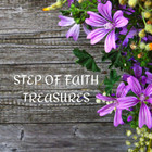 stepfaithadventures